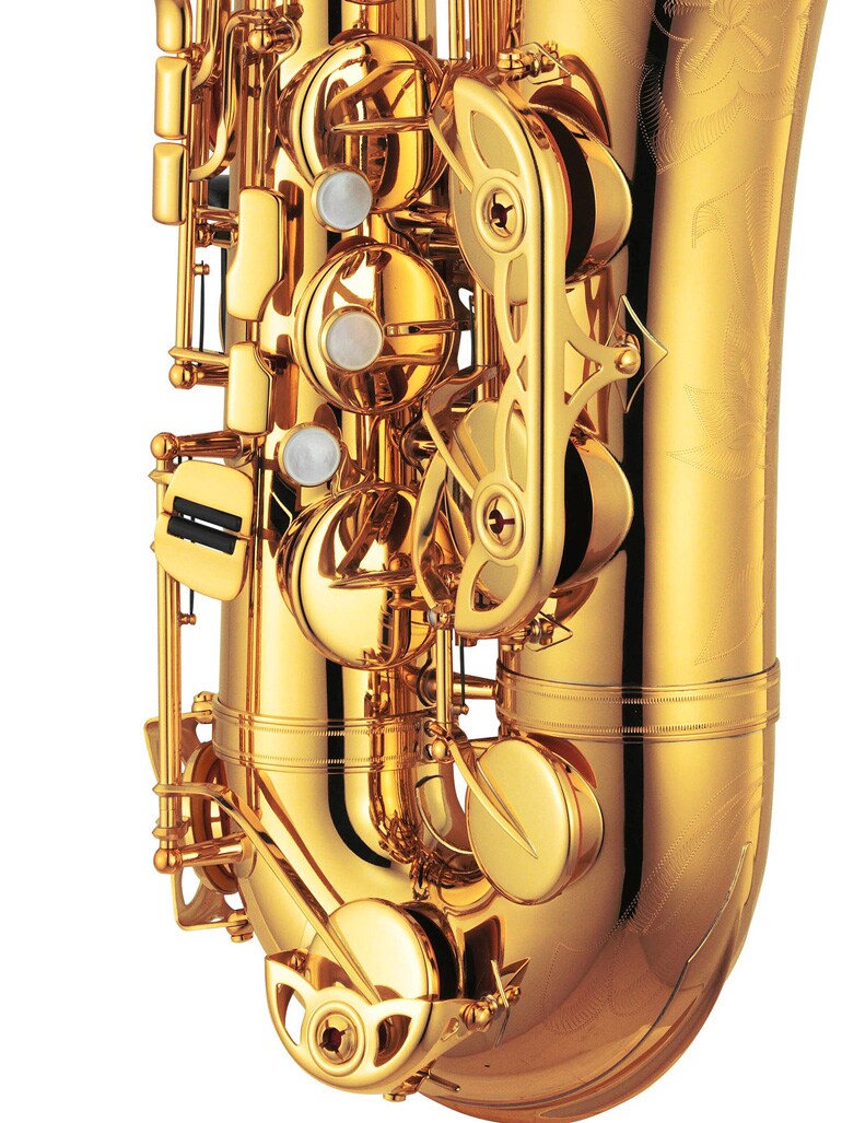 Geteilter Klappenschutz