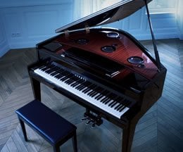 Klavierspiel, das Pianisten Grenzen überwinden lässt. 
Über die Freude, beim Spiel etwas völlig Neues entstehen zu lassen ...