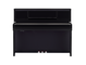 CSP-295_Polished Ebony_front