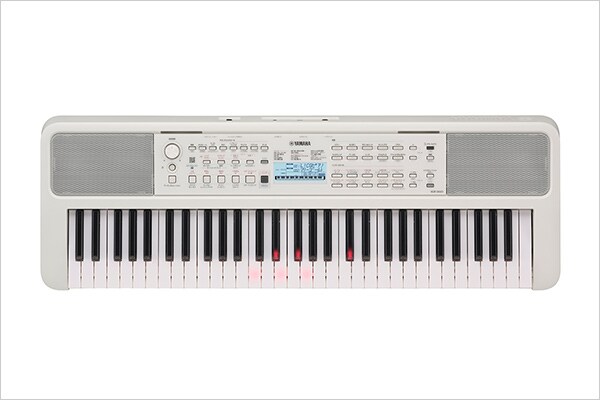EZ-310