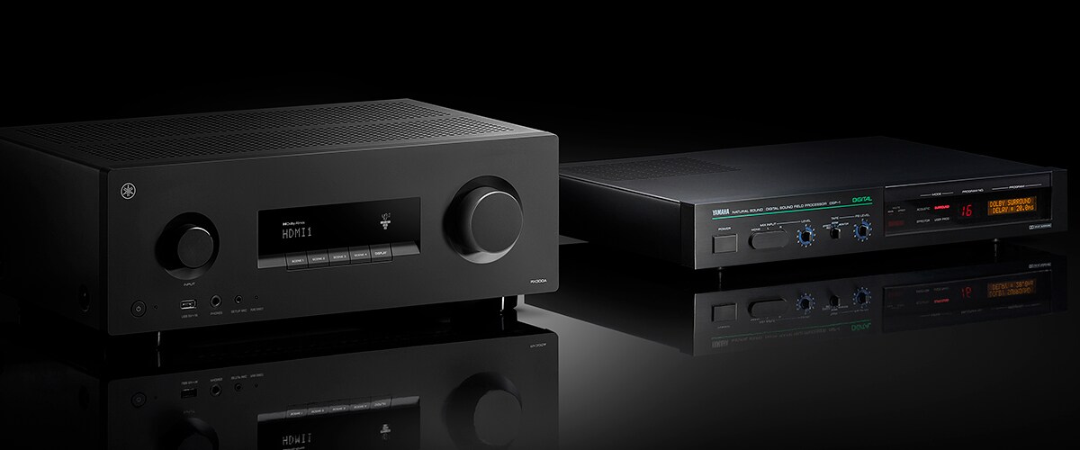 Der RX300A und der DSP-1.