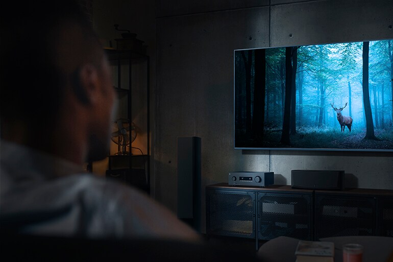 Der RX500A und ein Mann, der vor einem Fernseher mit einem mystischen Waldmotiv sitzt.
