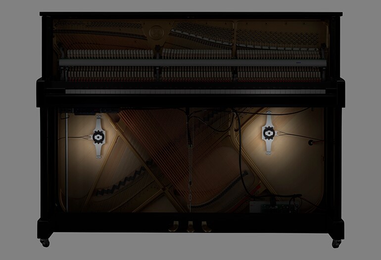 Feature Image
