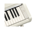 YDP-166_Weiße Birke_Tastatur_rechts