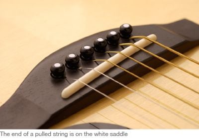 Strings are supported by the nut and saddle